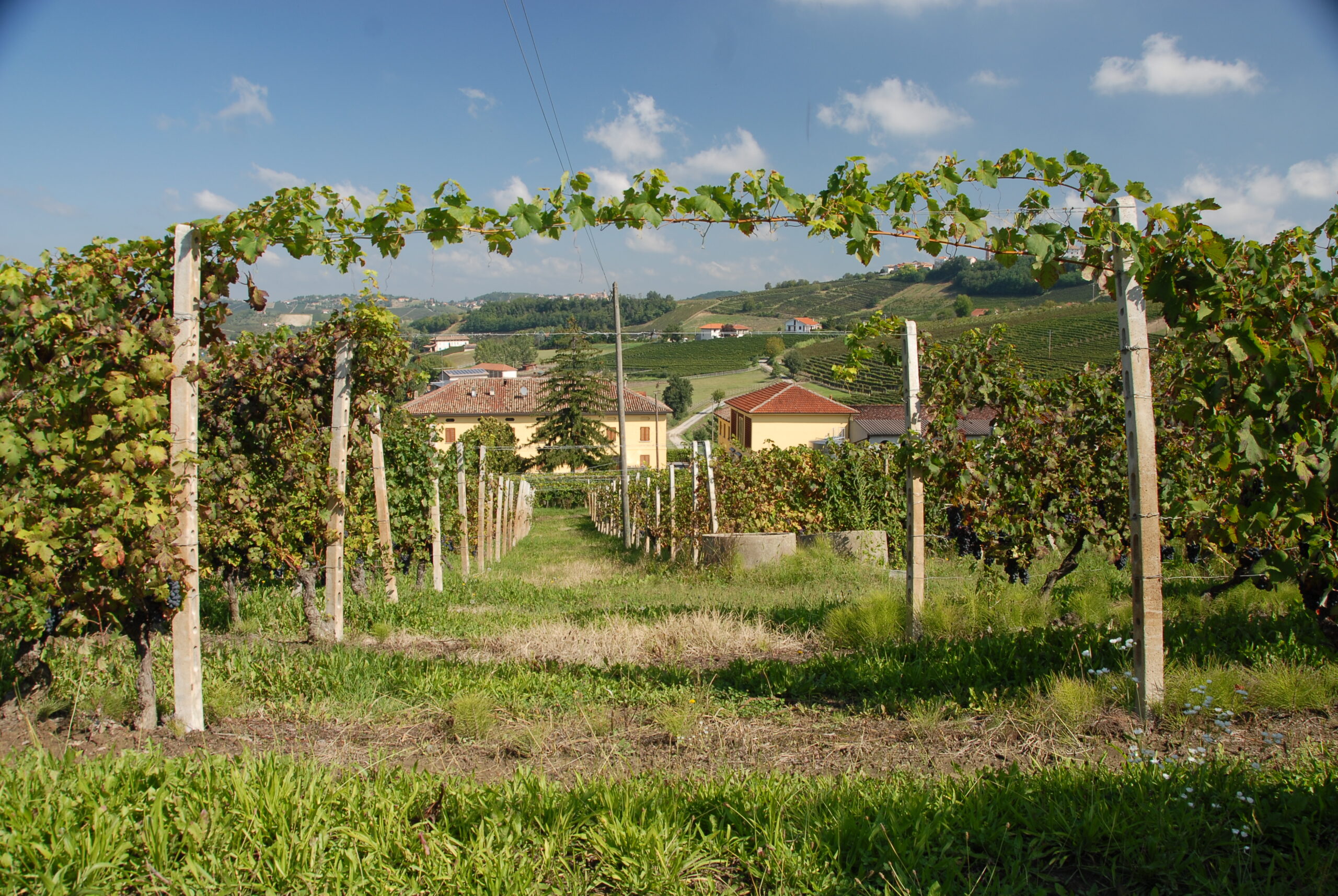 Cantine Andreas Mazzei